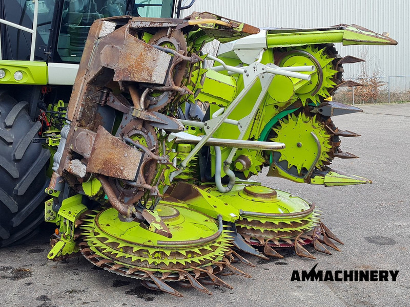 Maize harvester for transportation of food Claas Orbis 600SD rotary corn header: picture 15