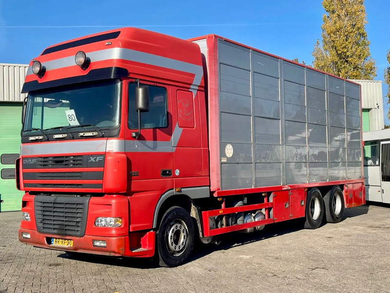 DAF XF 95.430 BERDEX 3 decks. Water, fans, Scales! Excellent condition. - Livestock truck: picture 1 DAF XF 95.430 BERDEX 3 decks. Water, fans, Scales! Excellent condition. - Livestock truck: picture 1