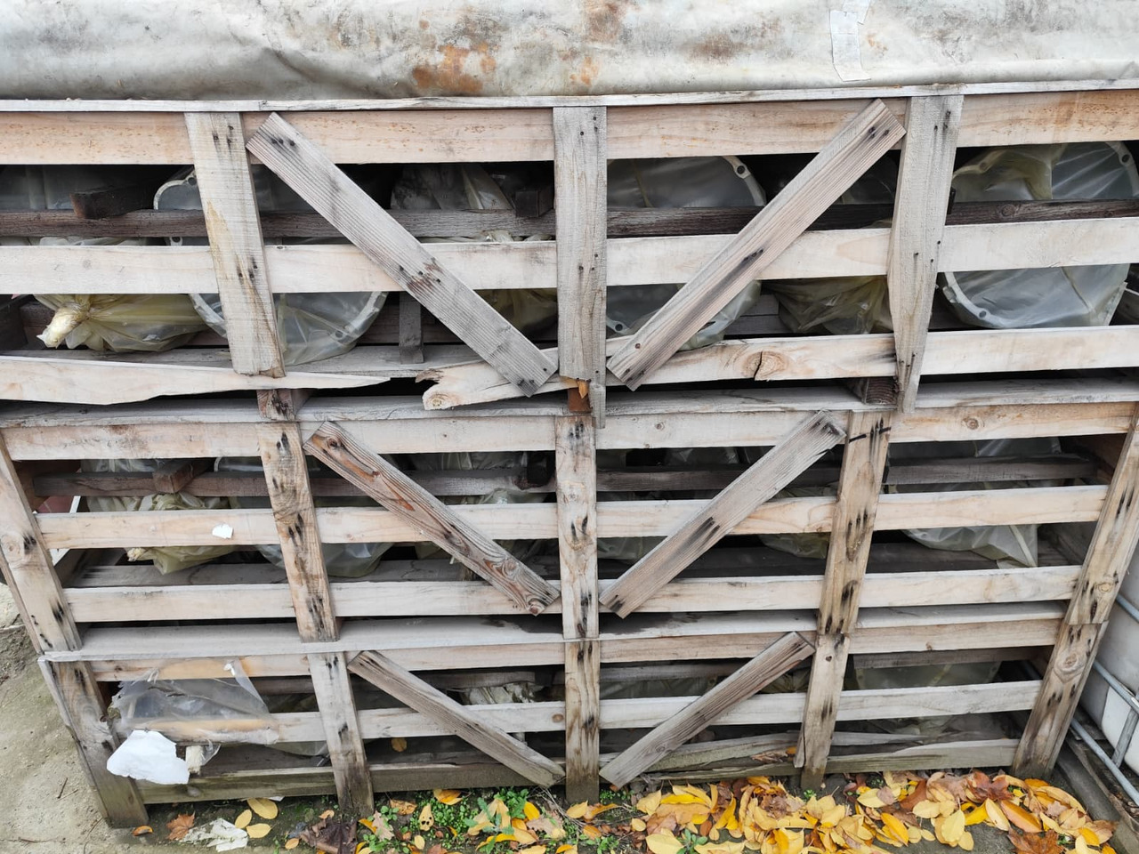 HYUNDAI DYMOS T032S5 - Gearbox for Truck: picture 5 HYUNDAI DYMOS T032S5 - Gearbox for Truck: picture 5