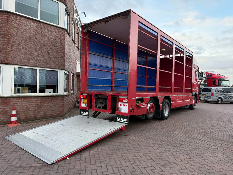 DAF XF105-410 6X FAR / Euro5-ATE / box with lift / NL- Truck - Curtainsider truck: picture 4 DAF XF105-410 6X FAR / Euro5-ATE / box with lift / NL- Truck - Curtainsider truck: picture 4