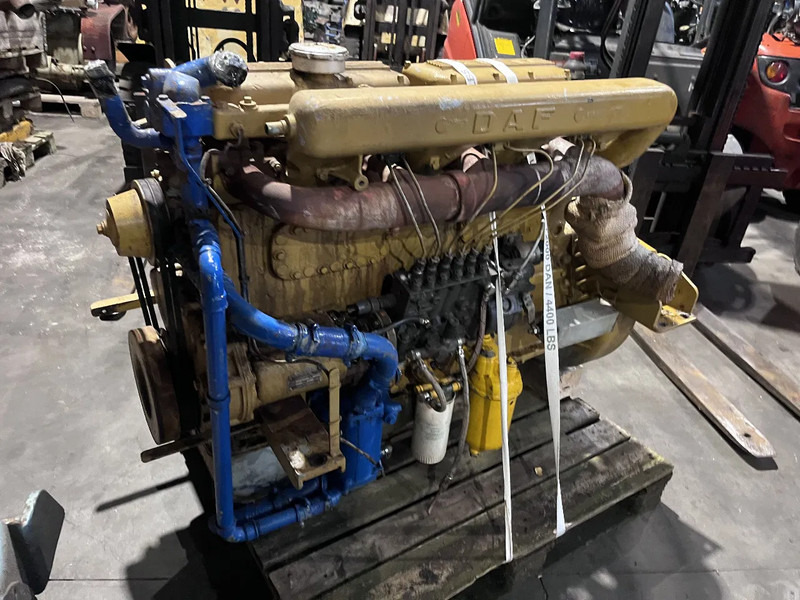 DAF 2800 3300 3600 daf 1160 diesel motor - Engine: picture 5 DAF 2800 3300 3600 daf 1160 diesel motor - Engine: picture 5