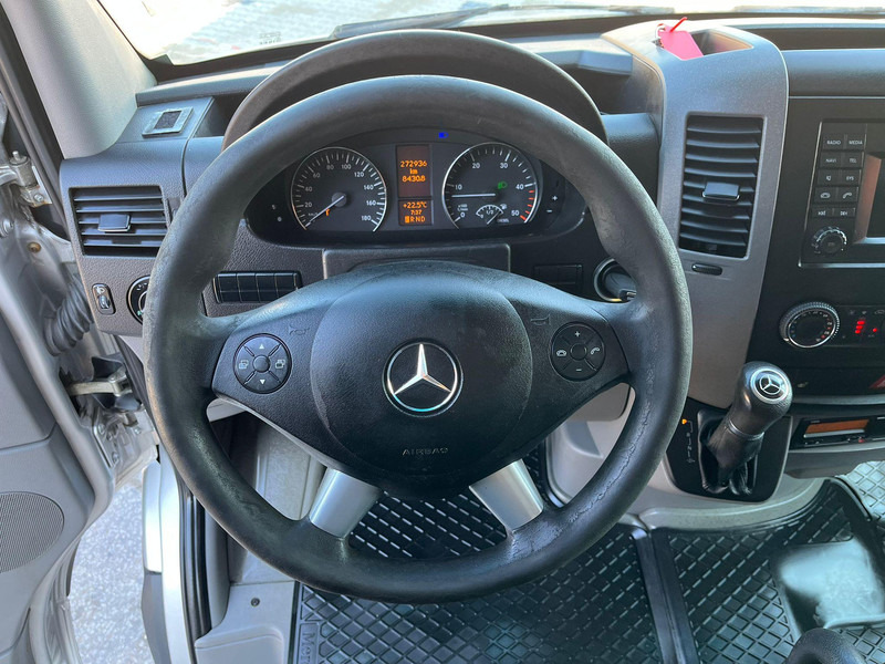 Panel van Mercedes-Benz Sprinter 519 CDI: picture 16