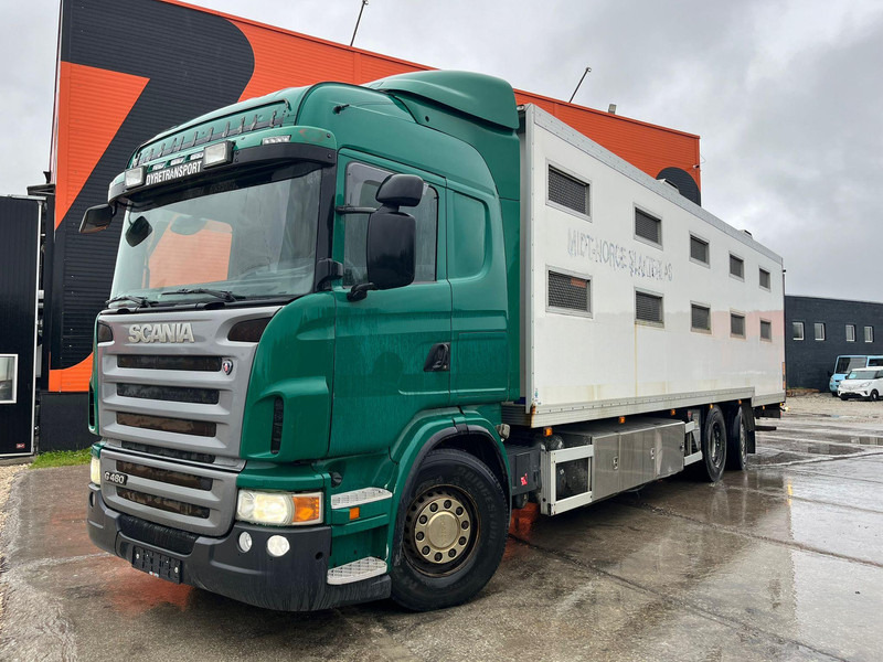 Scania G 480 6x2*4 BOX L=9212 mm / COOLANT LEAKAGE ON 3 RD CYLINDER - Livestock truck: picture 2 Scania G 480 6x2*4 BOX L=9212 mm / COOLANT LEAKAGE ON 3 RD CYLINDER - Livestock truck: picture 2