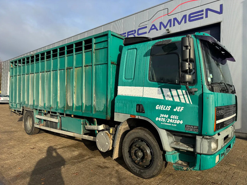 DAF 65.210 **BELGIAN TRUCK-FULL STEEL** - Box truck: picture 3 DAF 65.210 **BELGIAN TRUCK-FULL STEEL** - Box truck: picture 3
