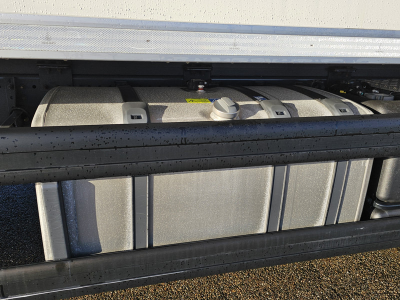 Refrigerator truck Scania P250 / LBW /4X2 / FRIGOBLOCK: picture 14