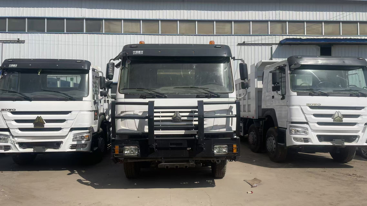 SINOTRUK HOWO 8*4 WITH FENCE 12 WHEELS TIRES 6*4 371 375 380 400 420 HP - Livestock truck: picture 1 SINOTRUK HOWO 8*4 WITH FENCE 12 WHEELS TIRES 6*4 371 375 380 400 420 HP - Livestock truck: picture 1