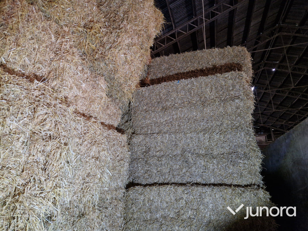 Vetehalm - 2022 - Livestock equipment: picture 1 Vetehalm - 2022 - Livestock equipment: picture 1