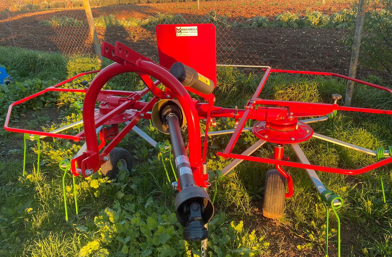 Voltafieno - Tedder/ Rake: picture 2 Voltafieno - Tedder/ Rake: picture 2