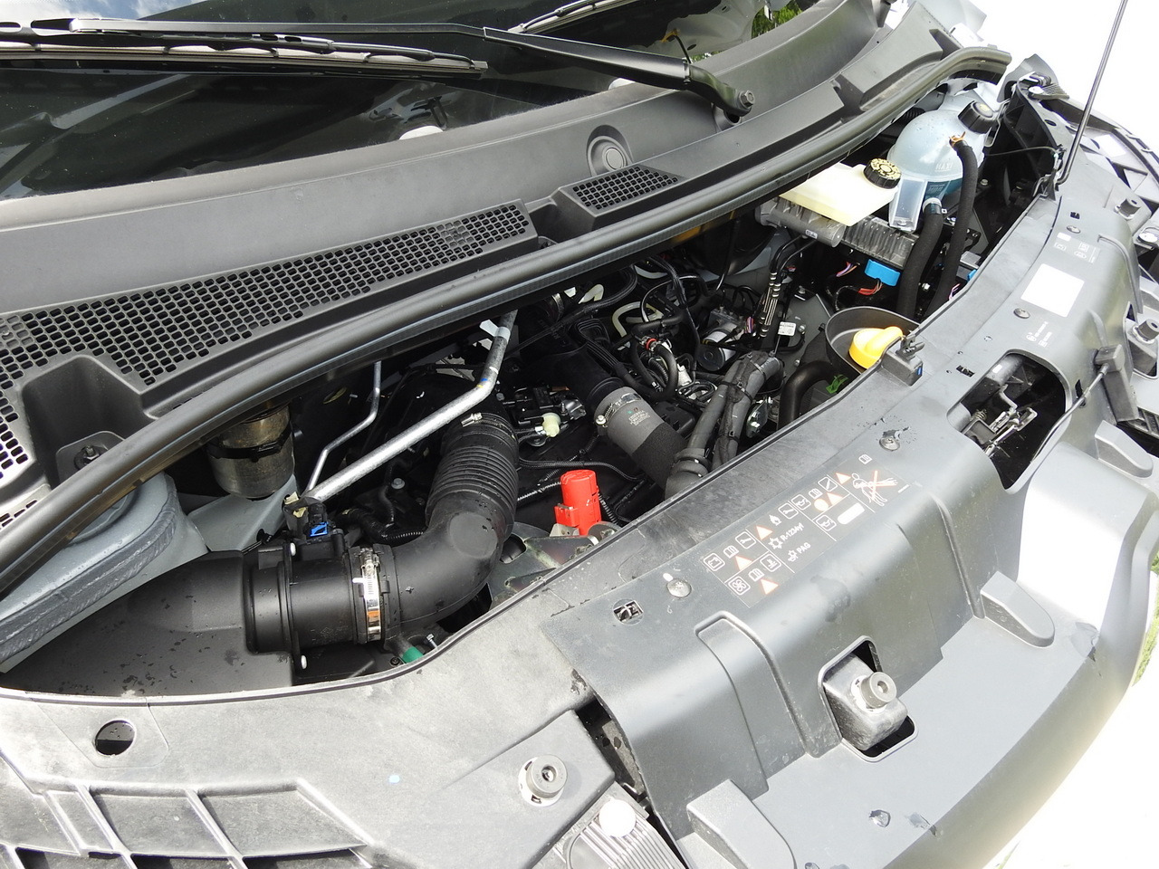 RENAULT MASTER NEW REGRIGERATOR BOX -10*C 8 PALLETS CRUISE CONTROL AIR CONDITIONING LED LIGHTS GUARANTEE 165HP leasing RENAULT MASTER NEW REGRIGERATOR BOX -10*C 8 PALLETS CRUISE CONTROL AIR CONDITIONING LED LIGHTS GUARANTEE 165HP: picture 26 RENAULT MASTER NEW REGRIGERATOR BOX -10*C 8 PALLETS CRUISE CONTROL AIR CONDITIONING LED LIGHTS GUARANTEE 165HP leasing RENAULT MASTER NEW REGRIGERATOR BOX -10*C 8 PALLETS CRUISE CONTROL AIR CONDITIONING LED LIGHTS GUARANTEE 165HP: picture 26