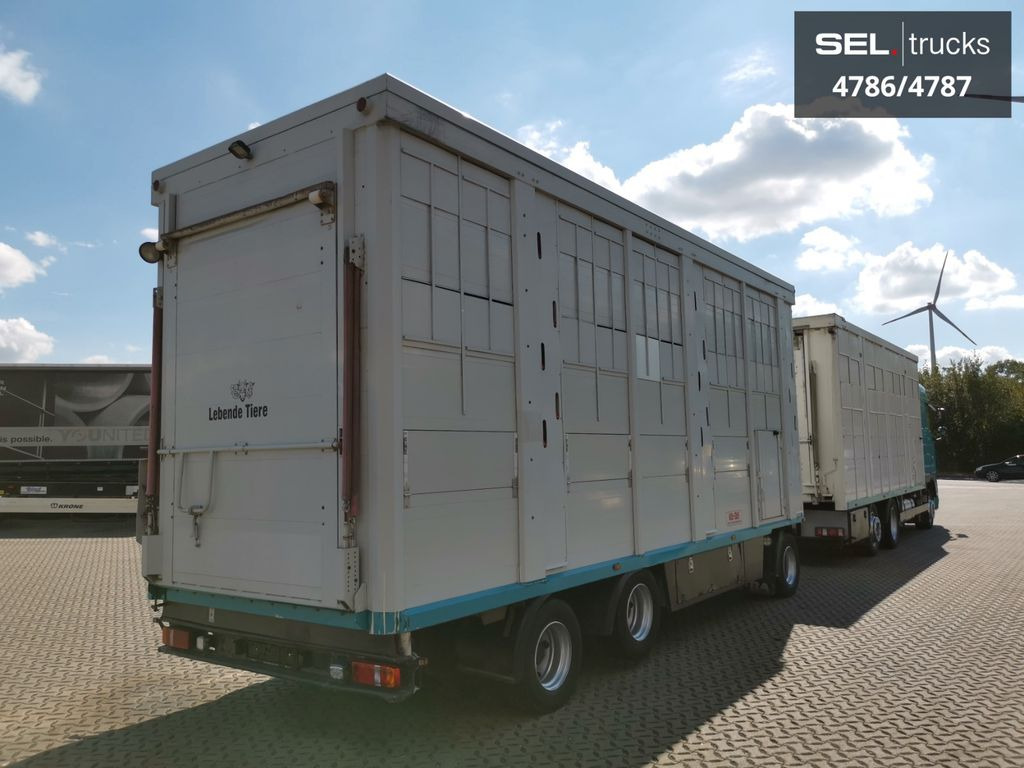DAF XF 105.460 / Intarder / 4 Stock / KOMPLETT ! DAF XF 105.460 / Intarder / 4 Stock / KOMPLETT ! - Livestock truck: picture 5 DAF XF 105.460 / Intarder / 4 Stock / KOMPLETT ! DAF XF 105.460 / Intarder / 4 Stock / KOMPLETT ! - Livestock truck: picture 5