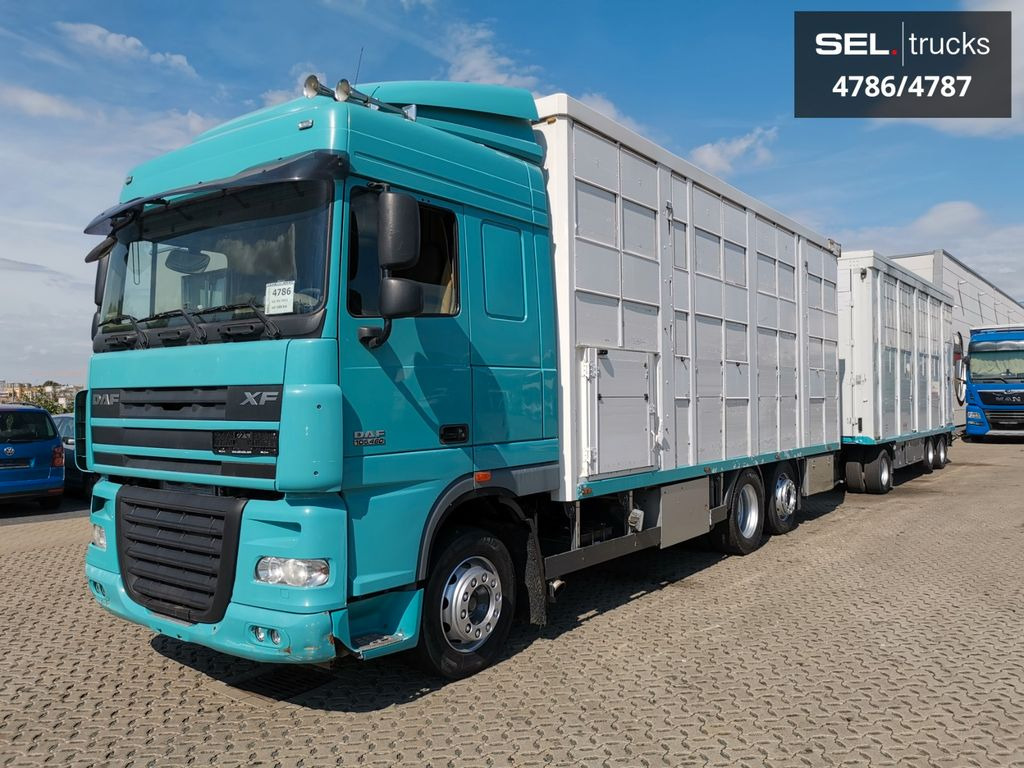 DAF XF 105.460 / Intarder / 4 Stock / KOMPLETT ! DAF XF 105.460 / Intarder / 4 Stock / KOMPLETT ! - Livestock truck: picture 2 DAF XF 105.460 / Intarder / 4 Stock / KOMPLETT ! DAF XF 105.460 / Intarder / 4 Stock / KOMPLETT ! - Livestock truck: picture 2