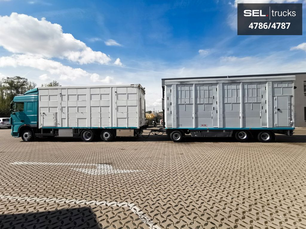 DAF XF 105.460 / Intarder / 4 Stock / KOMPLETT ! DAF XF 105.460 / Intarder / 4 Stock / KOMPLETT ! - Livestock truck: picture 1 DAF XF 105.460 / Intarder / 4 Stock / KOMPLETT ! DAF XF 105.460 / Intarder / 4 Stock / KOMPLETT ! - Livestock truck: picture 1