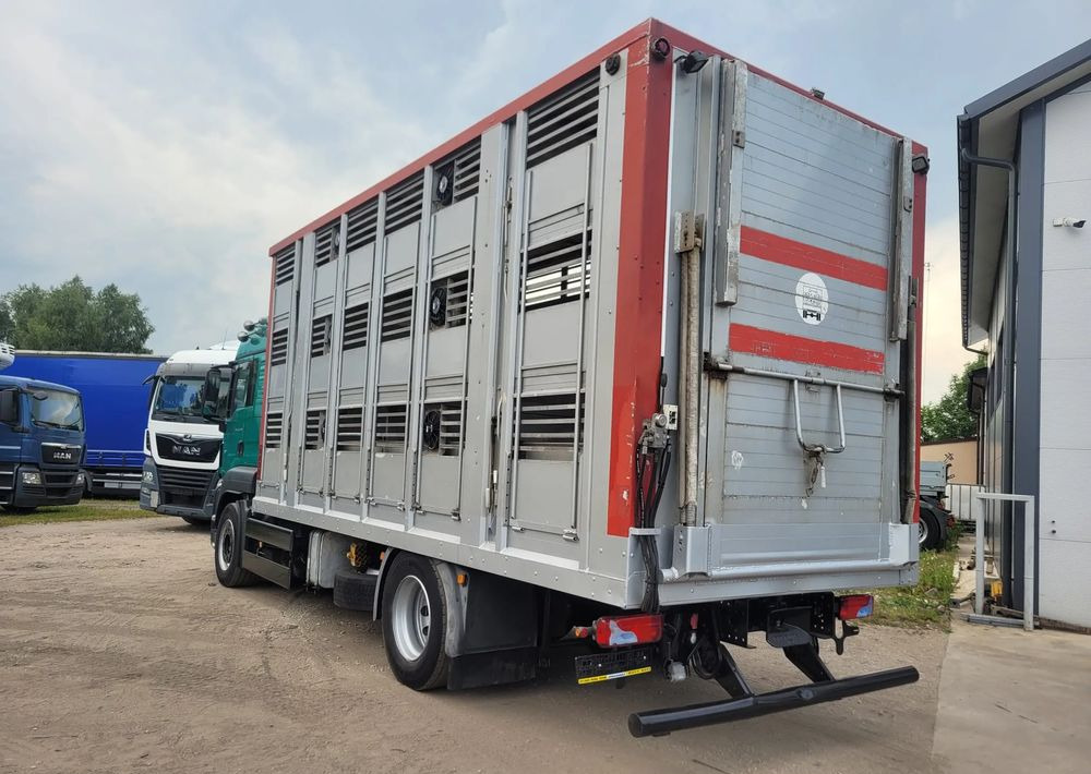 MAN TGS 18.400 Euro 6 do żywca - Livestock truck: picture 3 MAN TGS 18.400 Euro 6 do żywca - Livestock truck: picture 3