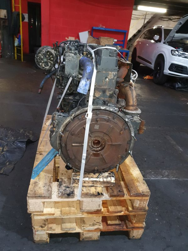 MAN D0836 LOH03 - Engine: picture 3 MAN D0836 LOH03 - Engine: picture 3