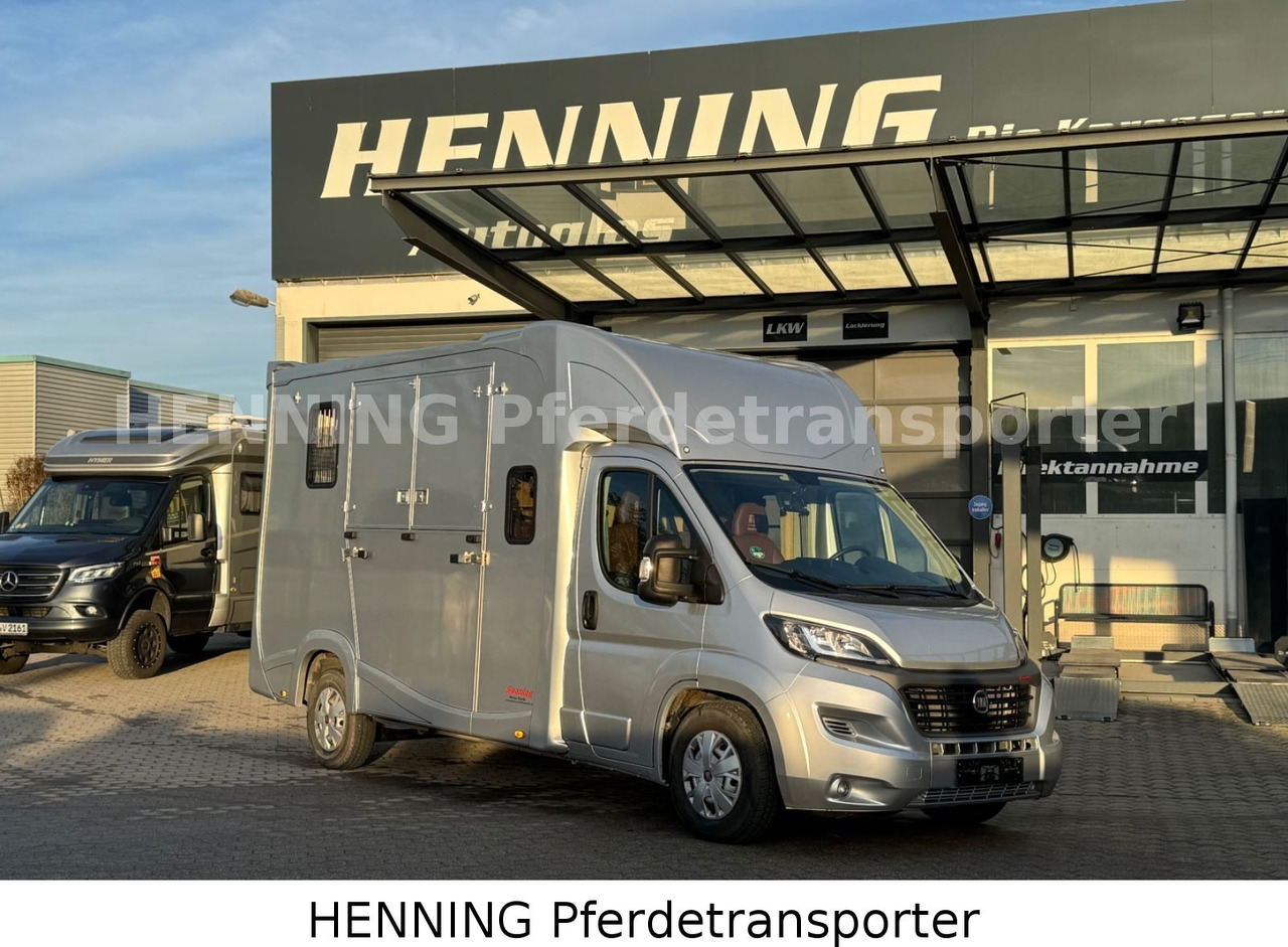 Fiat Ducato 5 - Sitzer PFERDETRANSPORTER - Livestock truck: picture 1 Fiat Ducato 5 - Sitzer PFERDETRANSPORTER - Livestock truck: picture 1