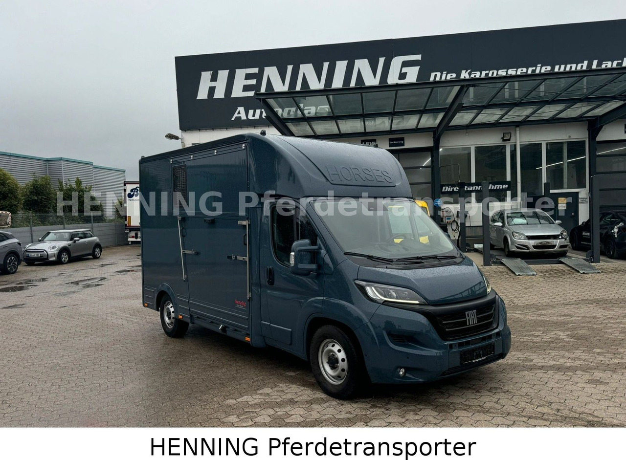 Fiat Ducato *AUTOMATIK* 3 - Sitzer - Livestock truck: picture 1 Fiat Ducato *AUTOMATIK* 3 - Sitzer - Livestock truck: picture 1