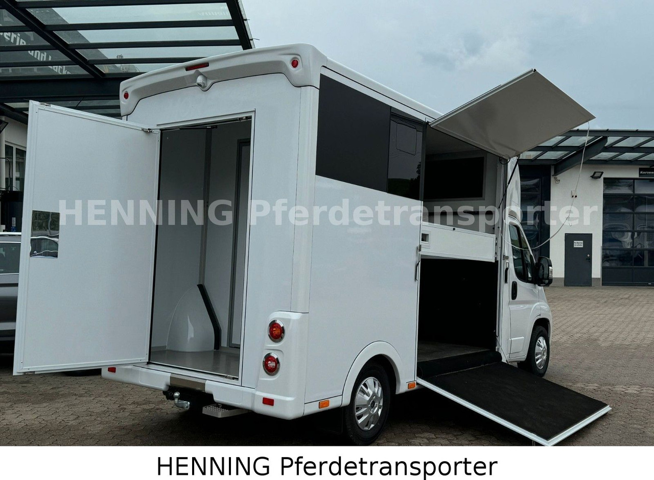 Peugeot Boxer *NEUWAGEN* ca. 1.200kg Nutzlast - Livestock truck: picture 4 Peugeot Boxer *NEUWAGEN* ca. 1.200kg Nutzlast - Livestock truck: picture 4