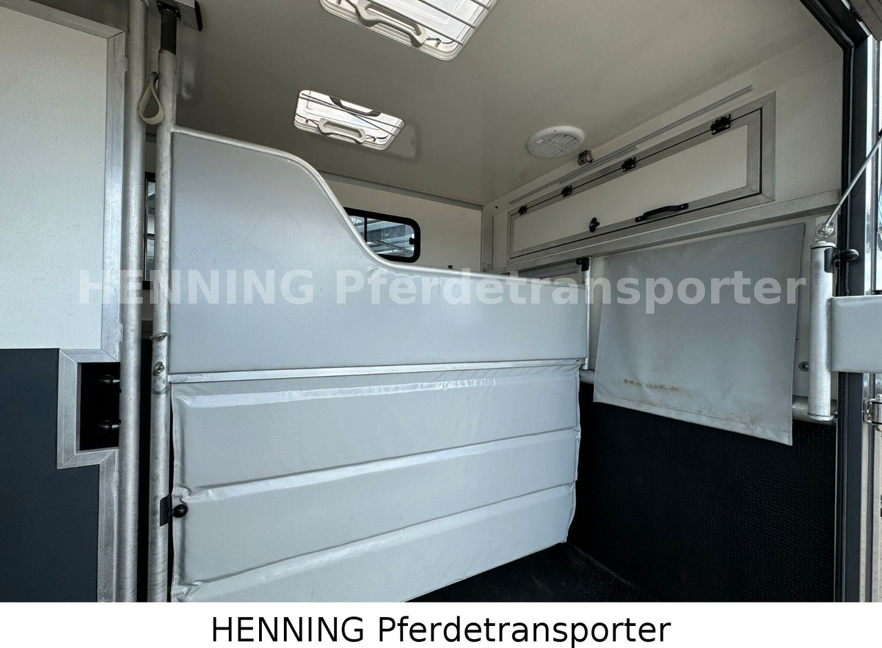 Renault 3-Sitzer - Horse truck, Commercial vehicle: picture 4 Renault 3-Sitzer - Horse truck, Commercial vehicle: picture 4