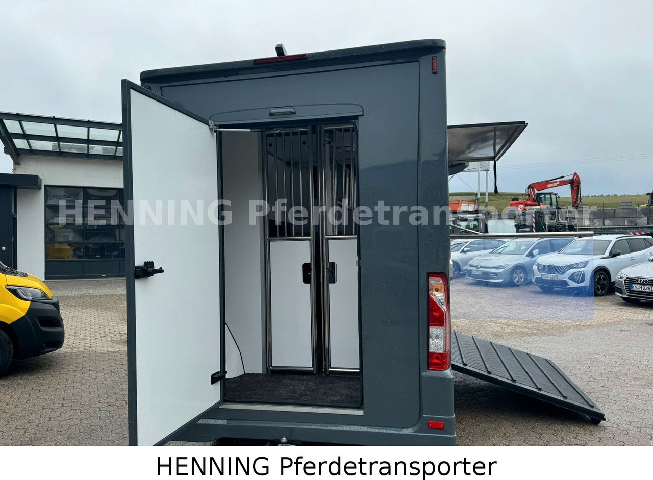 Renault Master 3 - Sitzer *NEUES MODELL* - Livestock truck: picture 4 Renault Master 3 - Sitzer *NEUES MODELL* - Livestock truck: picture 4