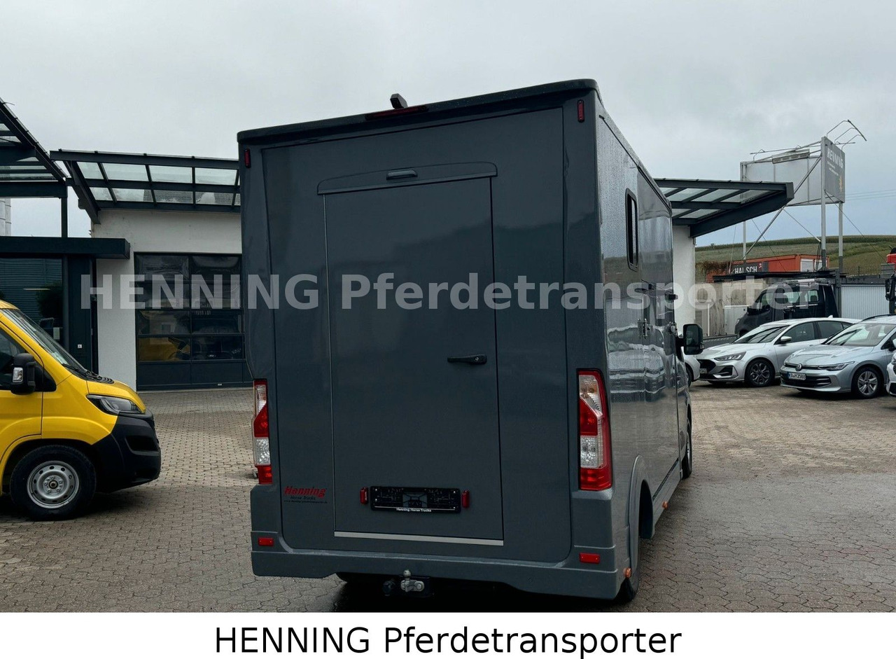 Renault Master 3 - Sitzer *NEUES MODELL* - Livestock truck: picture 3 Renault Master 3 - Sitzer *NEUES MODELL* - Livestock truck: picture 3