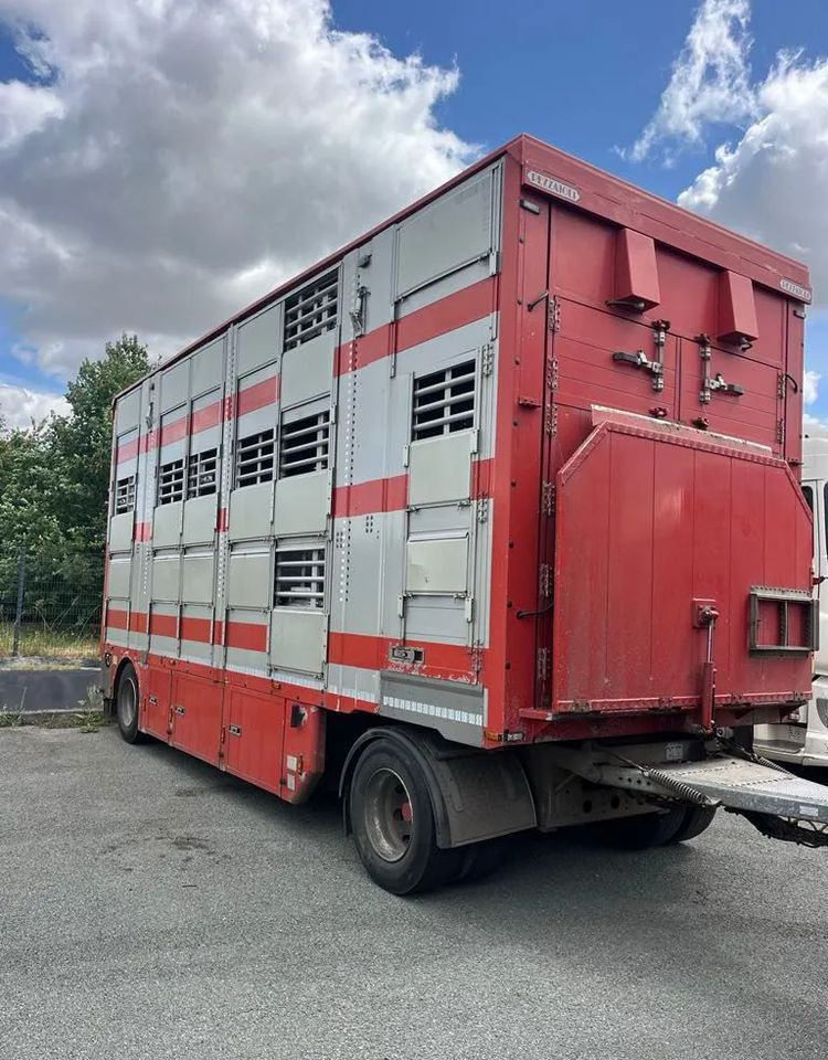 DAF XF 530 + Przyczepa Pezzaoli - 3X Trzoda, 2 X Bydło I 3 poziomy I Podnoszony dach I Hydroburta I Osie Skrętne I Poidła I Wentylatory I Pilot Manualny | - Livestock truck: picture 4 DAF XF 530 + Przyczepa Pezzaoli - 3X Trzoda, 2 X Bydło I 3 poziomy I Podnoszony dach I Hydroburta I Osie Skrętne I Poidła I Wentylatory I Pilot Manualny | - Livestock truck: picture 4