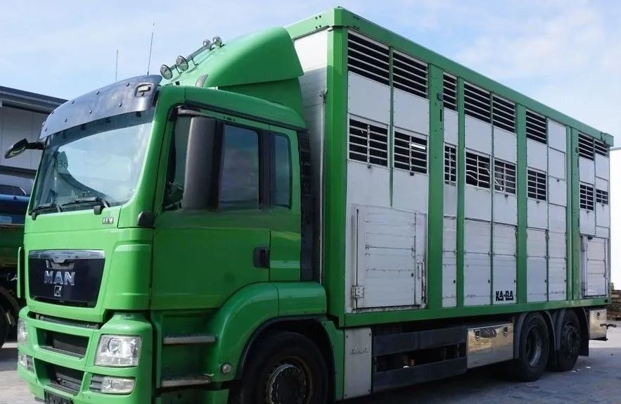 MAN TGS 26.440 ZABUDOWA KABA CAŁA ALUMINIOWA– samochód do transportu zwierząt/koni – 3 pokłady / EURO 5/6X2/PODNOSZONY DACH - Livestock truck: picture 1 MAN TGS 26.440 ZABUDOWA KABA CAŁA ALUMINIOWA– samochód do transportu zwierząt/koni – 3 pokłady / EURO 5/6X2/PODNOSZONY DACH - Livestock truck: picture 1