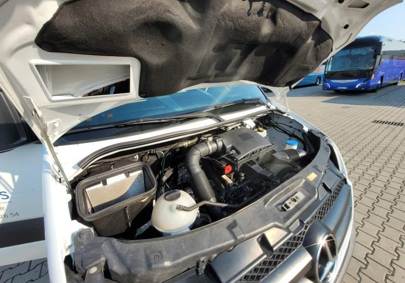 Minibus, Passenger van Mercedes-Benz 513 SPRINTER TRANSFER / SPROWADZONY/ MANUAL: picture 6