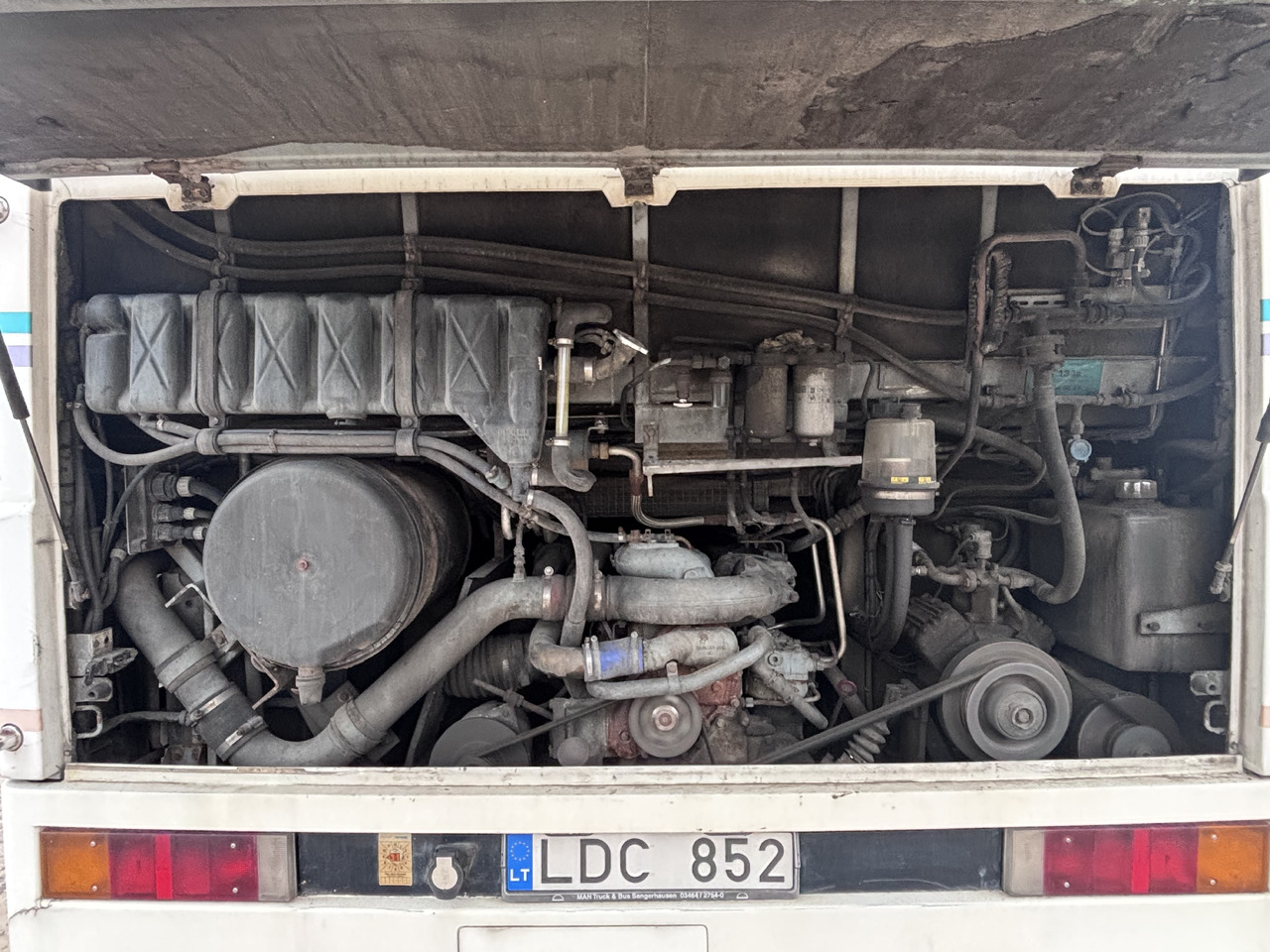 Coach MAN: picture 8