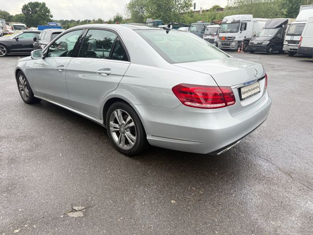 Sedan Mercedes-Benz E 300 E -Klasse Lim. E 300 BlueTec: picture 8 Sedan Mercedes-Benz E 300 E -Klasse Lim. E 300 BlueTec: picture 8