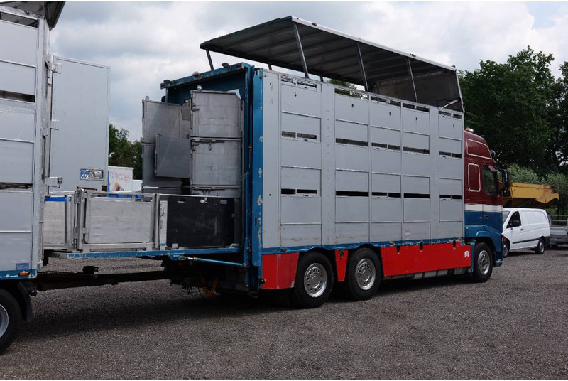 Volvo FH 13 480 6x2 3 stock livestock transport Cuppers - Livestock truck: picture 5 Volvo FH 13 480 6x2 3 stock livestock transport Cuppers - Livestock truck: picture 5