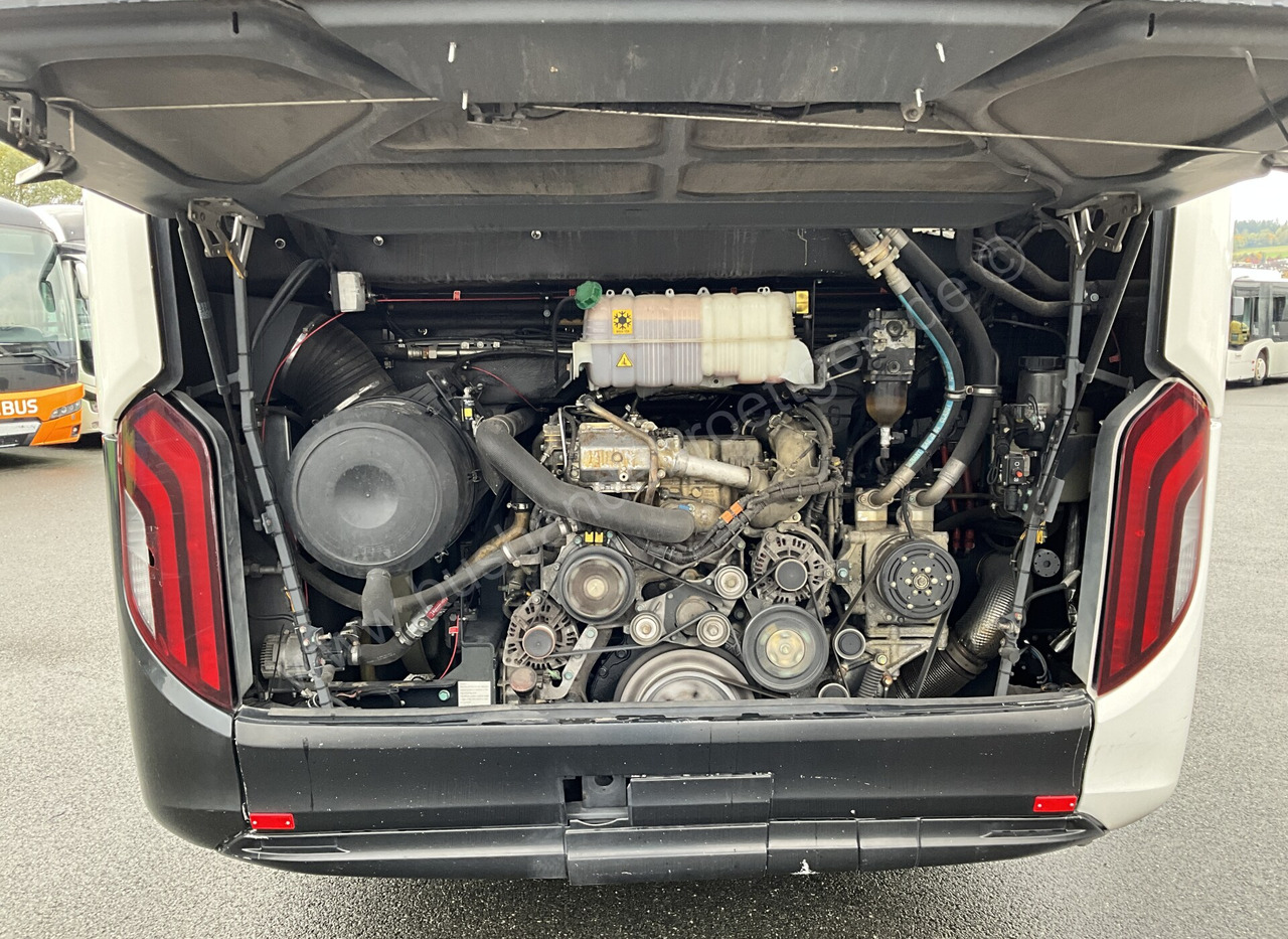 Coach MAN R 10 Lion´s Coach: picture 10