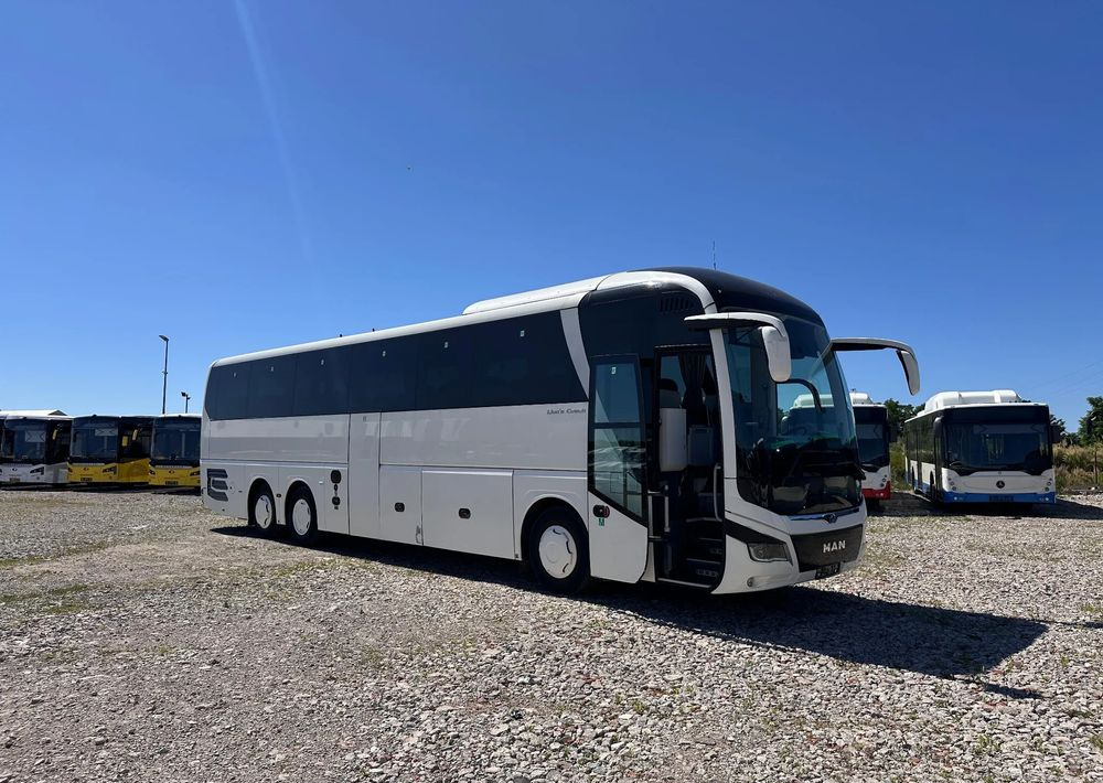 MAN Lions Coach - Coach: picture 1 MAN Lions Coach - Coach: picture 1