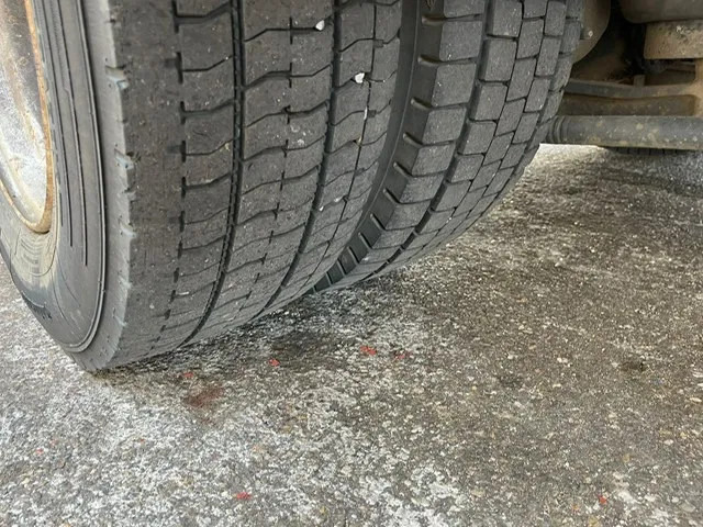 Curtainsider truck MAN LE 12 - 220C: picture 18