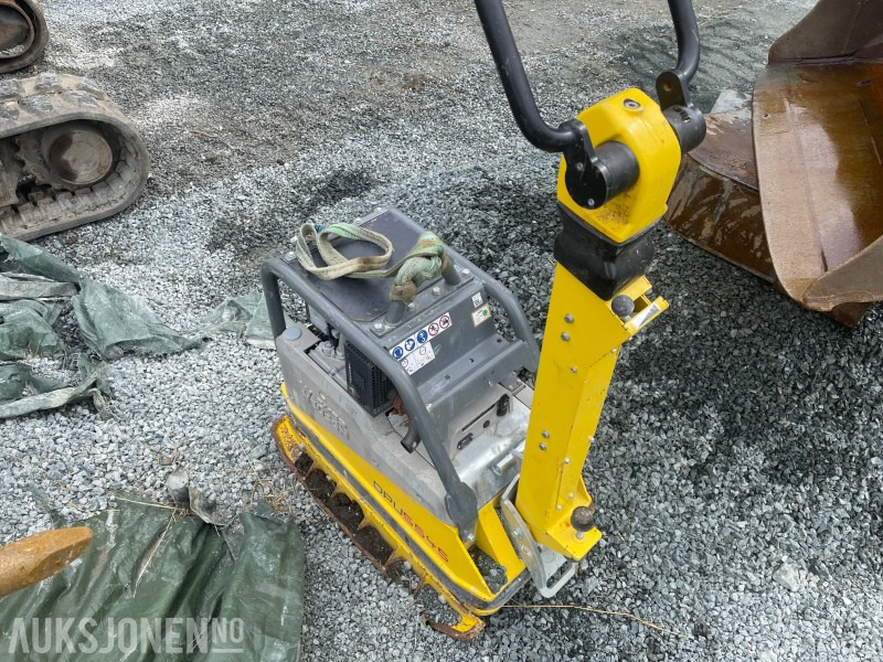 2023 Wacker Neuson DPU554HECH Strøken vibroplate/hoppetuse klar for ny eier - Roller: picture 1 2023 Wacker Neuson DPU554HECH Strøken vibroplate/hoppetuse klar for ny eier - Roller: picture 1