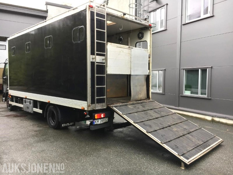 2004 DAF LF 45.220 - Hestebil / Transportbil, 202552km - Utility/ Special vehicle: picture 2 2004 DAF LF 45.220 - Hestebil / Transportbil, 202552km - Utility/ Special vehicle: picture 2