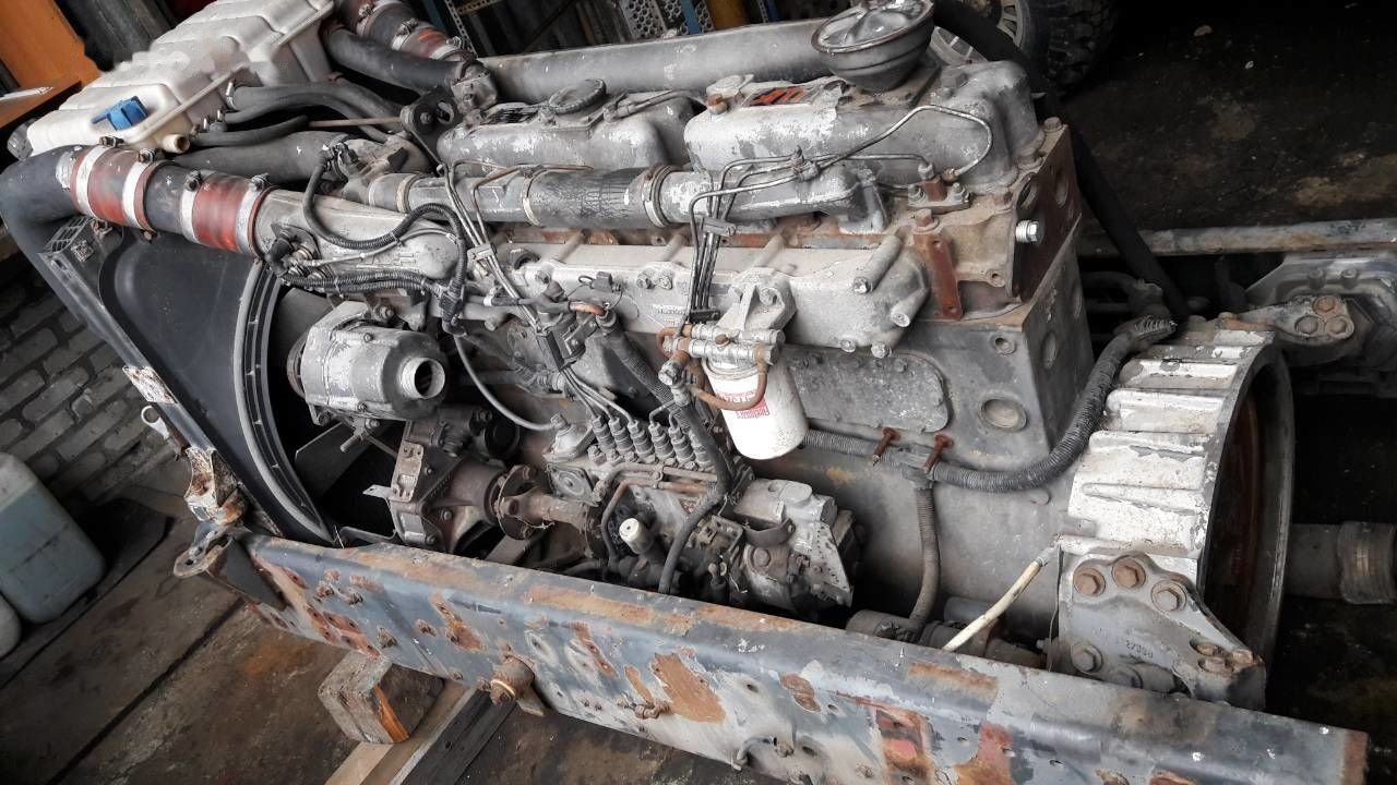 DAF WS 268 G DAF 95, 85 - Engine for Truck: picture 1 DAF WS 268 G DAF 95, 85 - Engine for Truck: picture 1