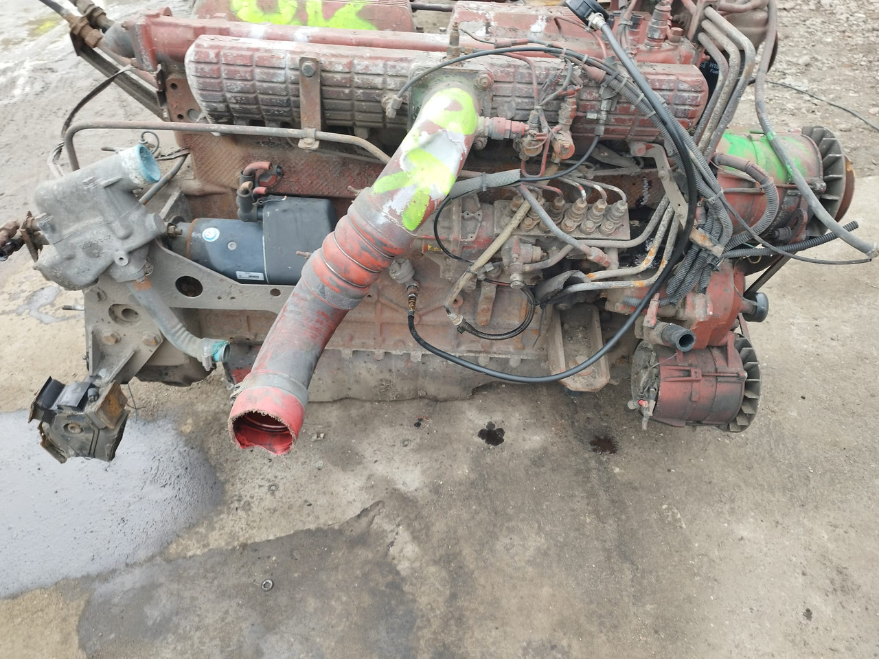 IVECO 8460.41M.70 IVECO MAGIRUS, FIAT, UNIC - Engine for Bus: picture 2 IVECO 8460.41M.70 IVECO MAGIRUS, FIAT, UNIC - Engine for Bus: picture 2
