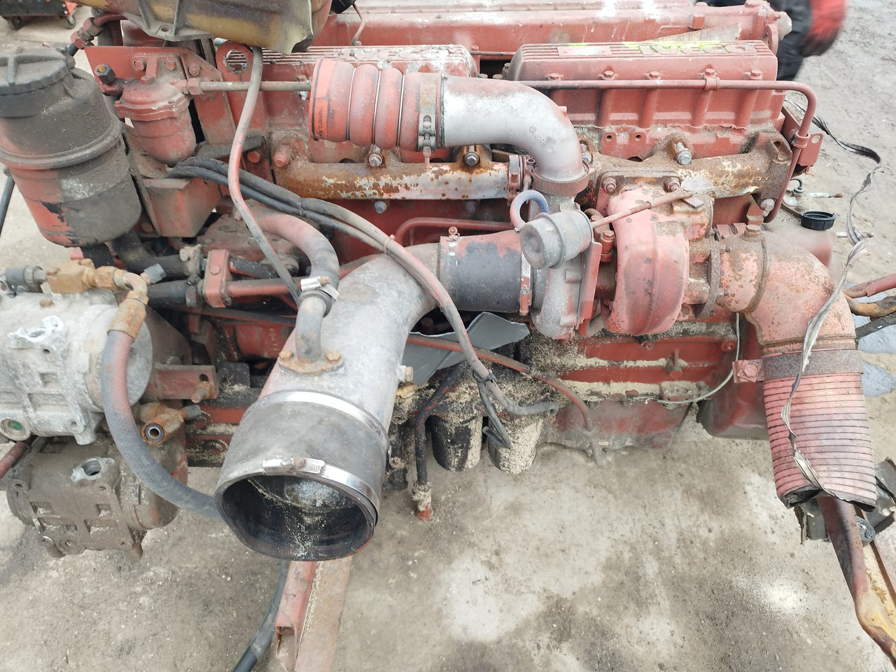 IVECO 8460.41M.70 IVECO MAGIRUS, FIAT, UNIC - Engine for Bus: picture 3 IVECO 8460.41M.70 IVECO MAGIRUS, FIAT, UNIC - Engine for Bus: picture 3