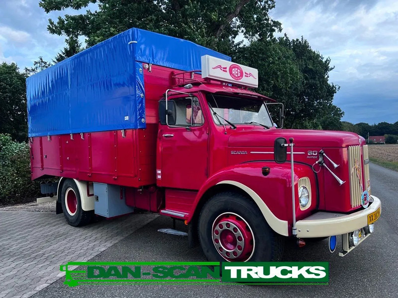 Truck Scania L 80 Super total renovation: picture 7