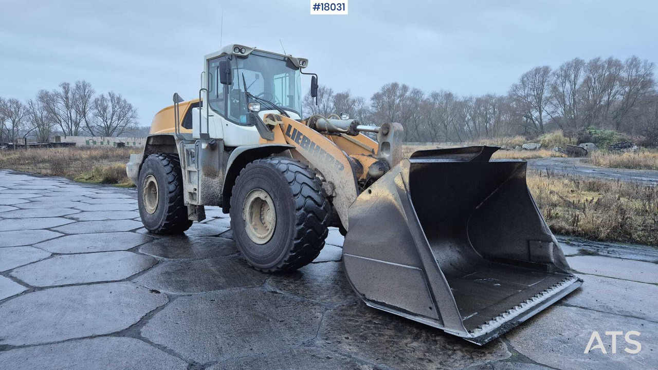 LIEBHERR L576 wheel loader (2017) - Wheel loader: picture 1 LIEBHERR L576 wheel loader (2017) - Wheel loader: picture 1