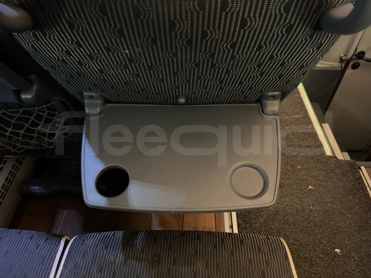 Coach Man Lion's Coach: picture 34 Coach Man Lion's Coach: picture 34