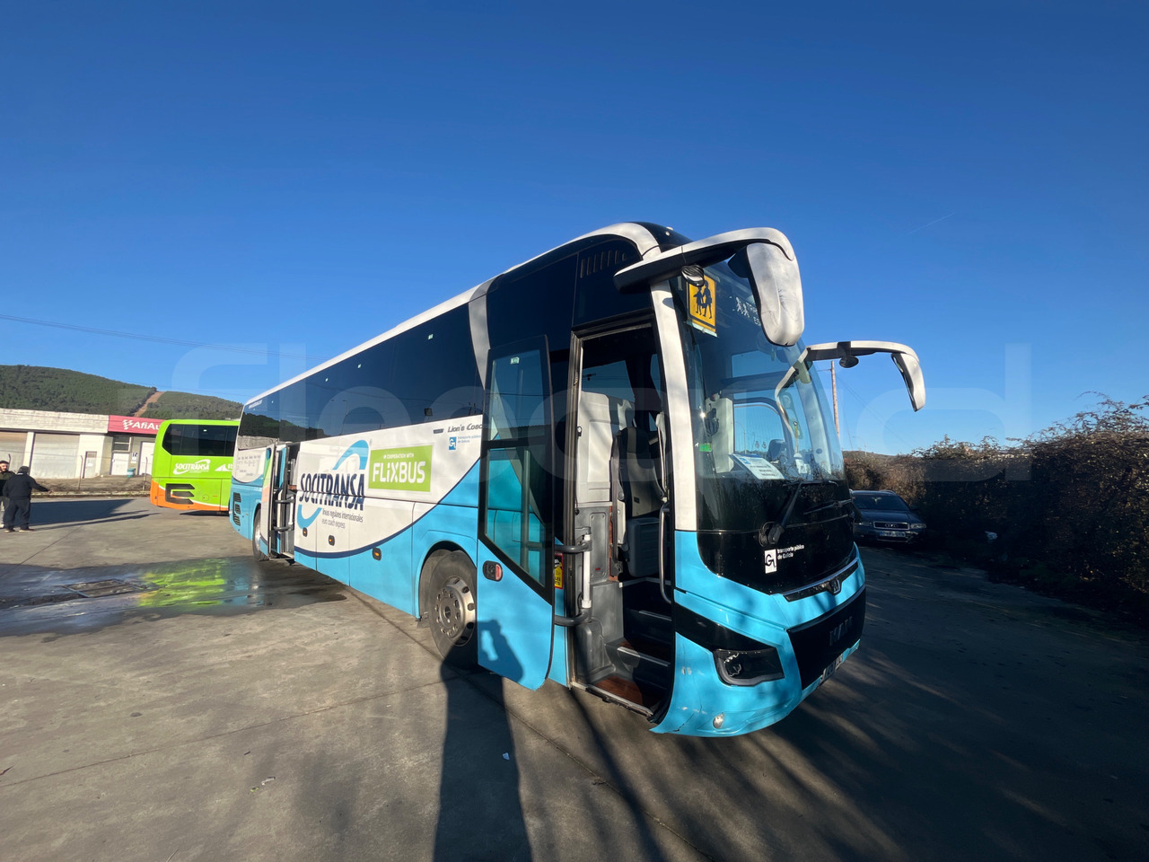 Man Lion's Coach - Coach: picture 1 Man Lion's Coach - Coach: picture 1
