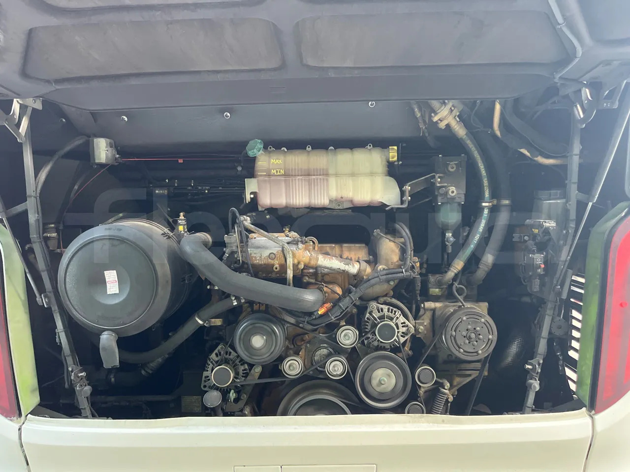 Coach Man Lion's Coach: picture 17 Coach Man Lion's Coach: picture 17