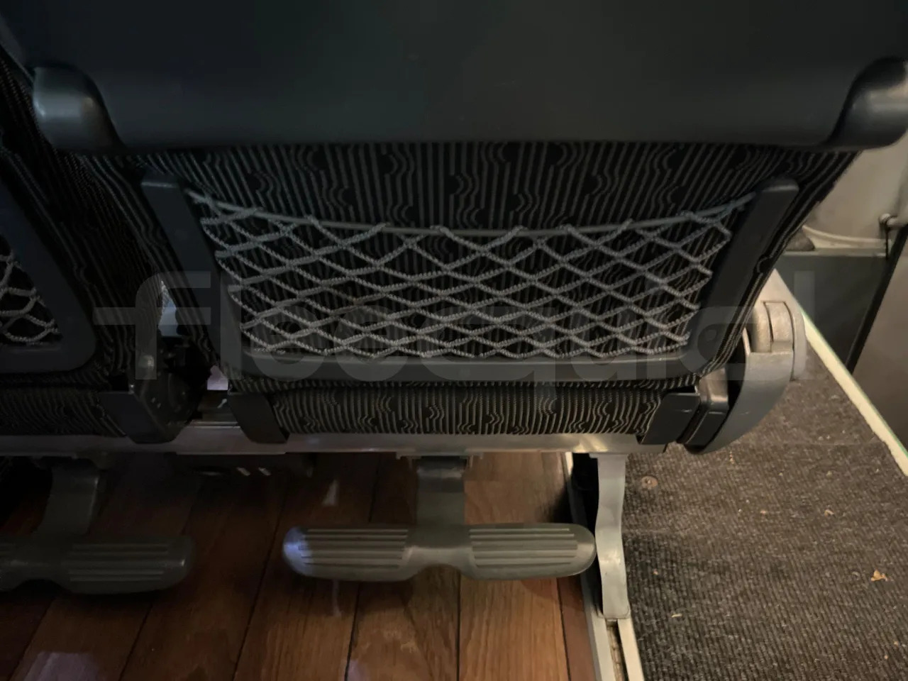 Coach Man Lion's Coach: picture 33 Coach Man Lion's Coach: picture 33