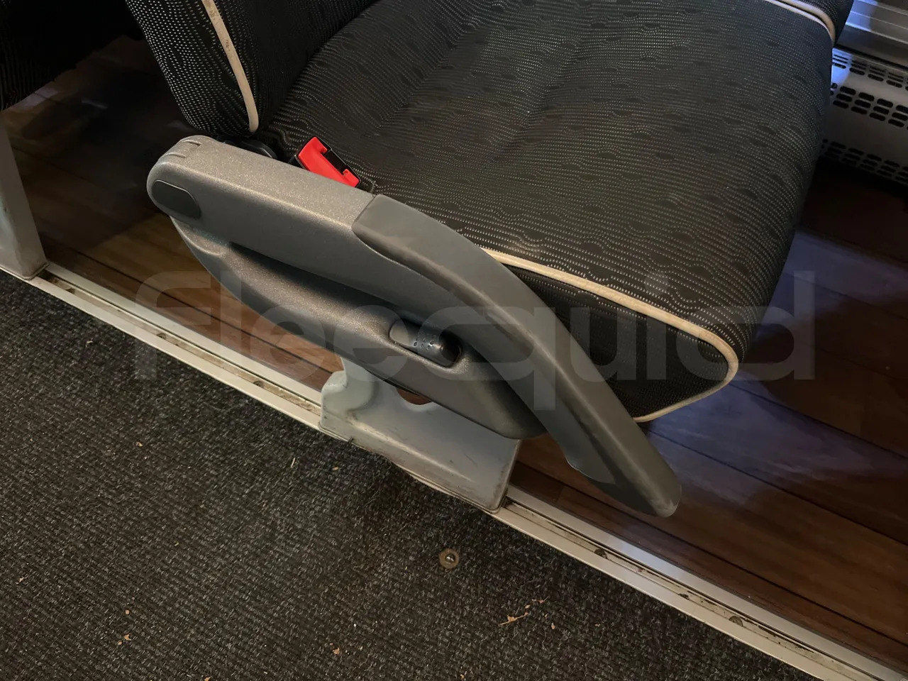 Coach Man Lion's Coach: picture 36 Coach Man Lion's Coach: picture 36