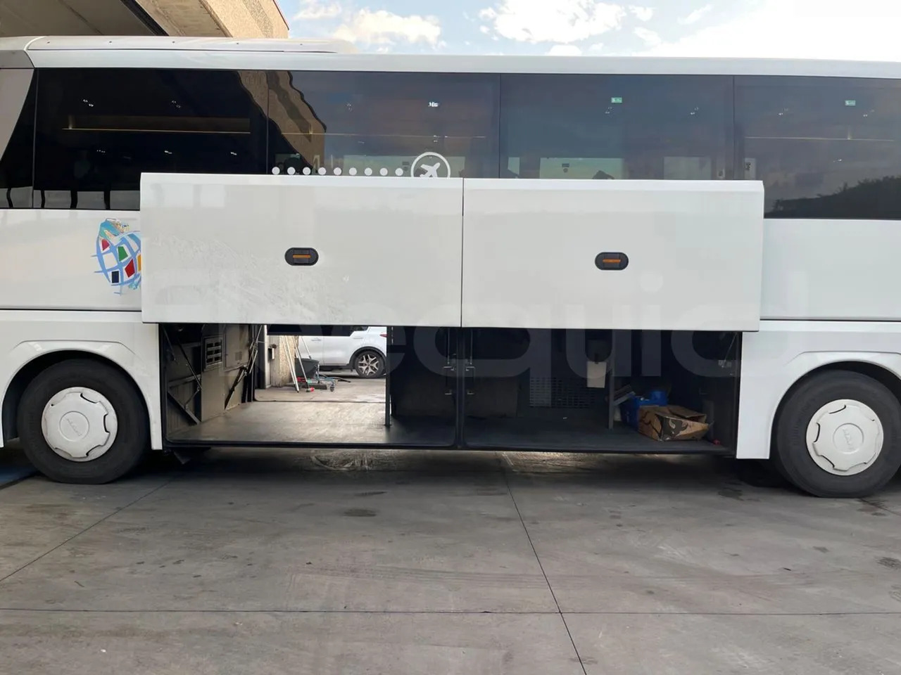 Coach Man Lion's Coach: picture 7 Coach Man Lion's Coach: picture 7