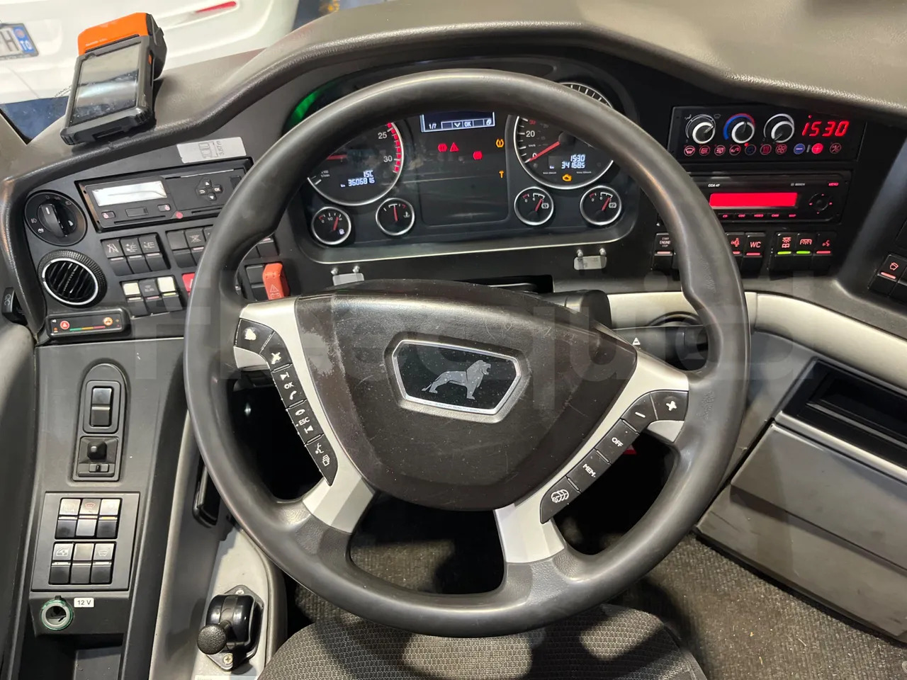 Coach Man Lion's Coach: picture 23 Coach Man Lion's Coach: picture 23