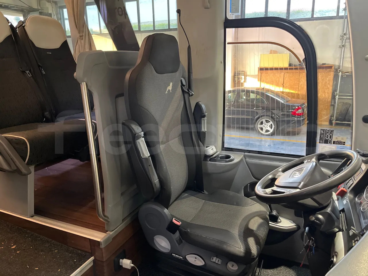 Coach Man Lion's Coach: picture 20 Coach Man Lion's Coach: picture 20