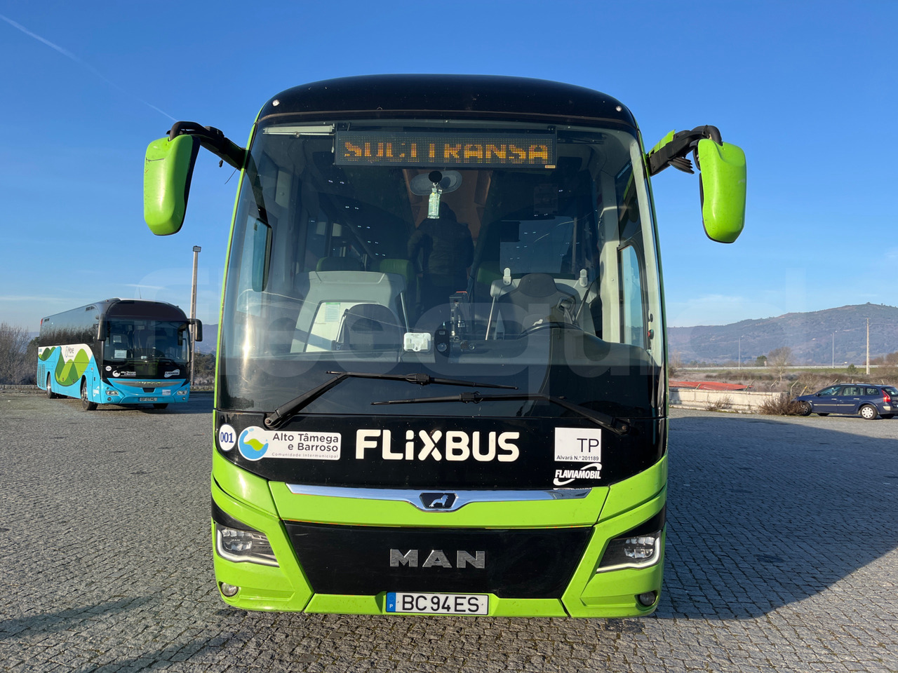Man Lion's Coach - Coach: picture 2 Man Lion's Coach - Coach: picture 2