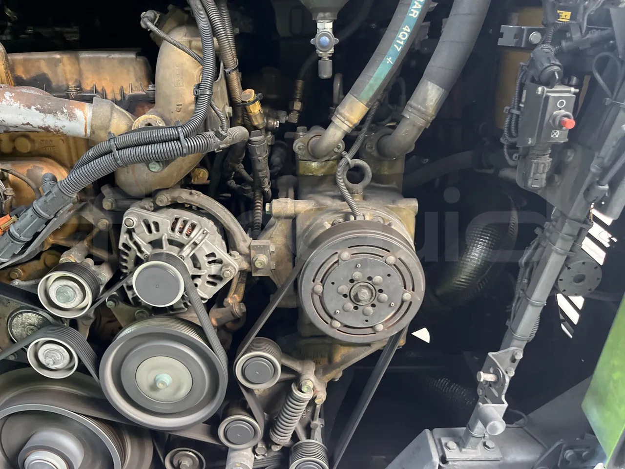 Coach Man Lion's Coach: picture 18 Coach Man Lion's Coach: picture 18